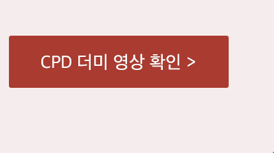CPD DUMMY 데모 안내 이미지 5